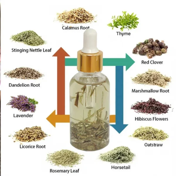 Herbal Hair Growth Oil – Fast Regrowth Treatment - Image 2